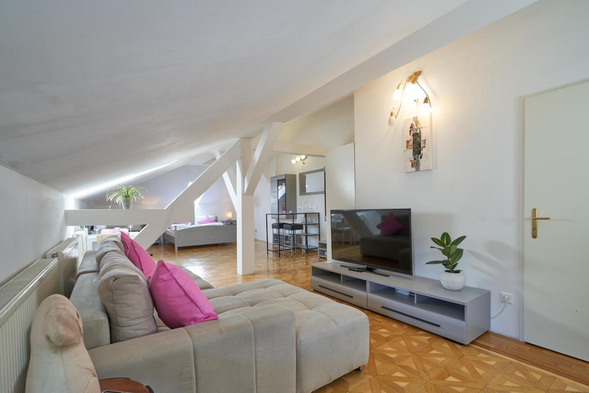 Big Apartment In Guesthouse Baden Eksteriør bilde